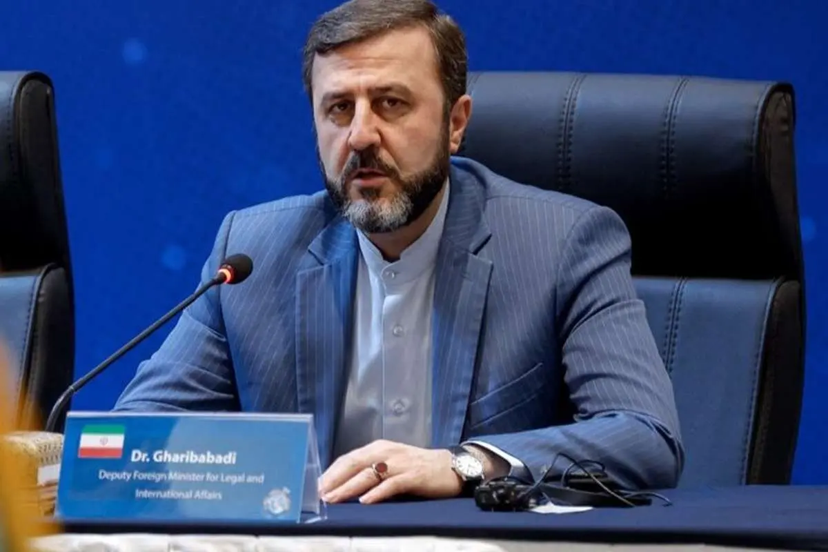 غریب آبادی: اگر اسنپ بک فعال شود پاسخ قاطع خواهیم داد