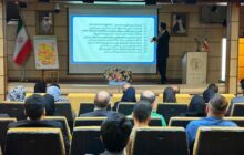 برگزاری گردهمایی و هم‌افزایی فعالان حوزه سالمندی