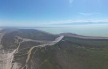قصور نهادهای ملی در احیای نگین شمال ایران