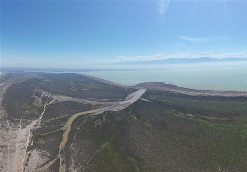 قصور نهادهای ملی در احیای نگین شمال ایران