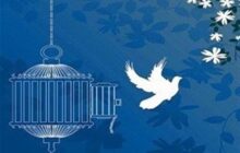 رهایی محکوم به قصاص از دار مجازات/خانواده سنندجی از خون فرزندشان گذشتند