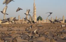 تاریخ پنهانِ یک شهادت| راز اختلاف در تاریخ شهادت حضرت زهرا‌(س)