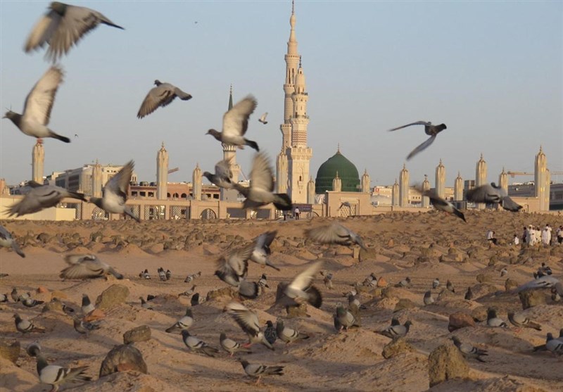 تاریخ پنهانِ یک شهادت| راز اختلاف در تاریخ شهادت حضرت زهرا‌(س)