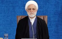 اژه‌ای: بازداشت ایرانیان حامی فلسطین در اروپا نگران‌کننده است