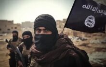 عملیات احیای تروریست‌های کوکی