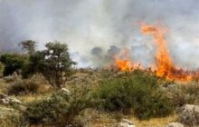 زبانه آتش در 4 نقطه از جنگل‌های هیرکانی/ پاییز داغ در شمال/ بالگردهای اطفا کجایند؟