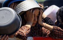 از هرات تا غزه؛ کمک‌های خودجوش مردمی به فلسطین ادامه دارد