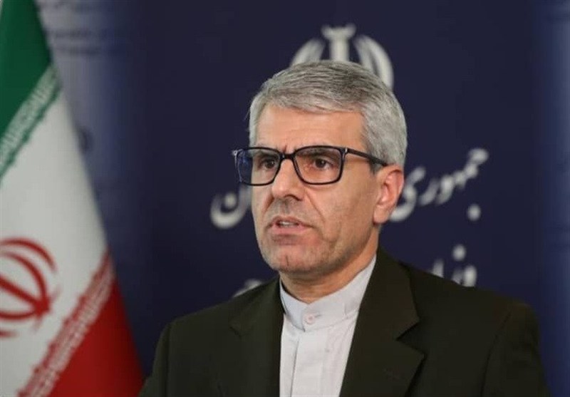 وزارت خارجه از آزادی مشروط 2 تبعه فرانسوی خبر داد