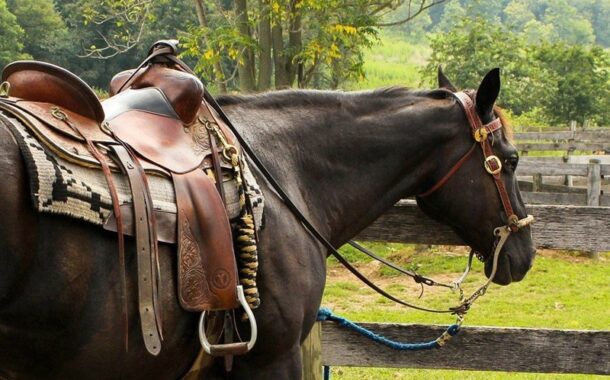 سکوت مرگبار بر کارگاه‌های زین‌سازی/ صنعت کهن گلستان فراموش شد