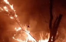 بالگرد پلیس هم به عملیات اطفای آتش‌سوزی جنگل‌های هیرکانی پیوست