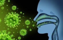 هشدار متخصصان درباره موج جدید آنفلوانزا/ افزایش مبتلایان در شمال/‌ آنتی‌بیوتیک‌ها بی‌اثرند!