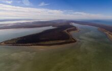 علت یابی مرگ گربه‌سانان در الیمالات؛ میانکاله تحت تغییرات اقلیمی است