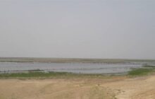 تأمین حق‌آبه 30 درصدی تالاب بندعلیخان قطعی شد