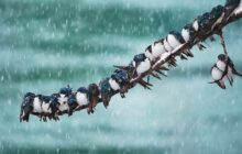 هشدار کاهش محسوس دما