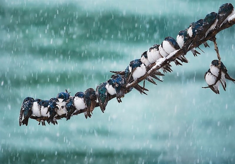 هشدار کاهش محسوس دما