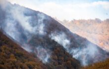 آیا آتش‌سوزی سریالی جنگل‌های هیرکانی طبیعی است!/ چه کسانی آتش به جان جنگل‌ها می‌اندازند؟