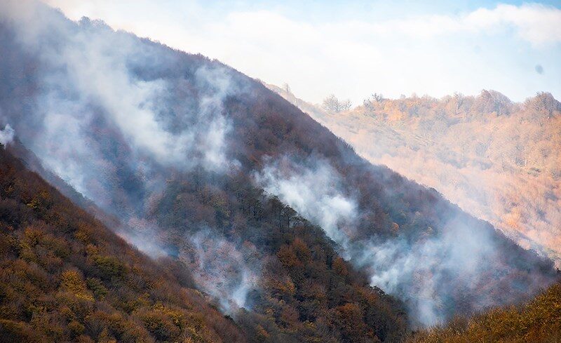 آیا آتش‌سوزی سریالی جنگل‌های هیرکانی طبیعی است!/ چه کسانی آتش به جان جنگل‌ها می‌اندازند؟