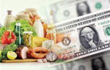 آیا ارز ترجیحی اصابت نداشت؟