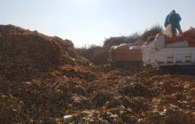 معبرهای پاییزی در بوستان‌های بزرگ مشهد/تبدیل200 تن برگ پاییزی به کود آلی