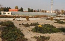 7 پروژه مهم برای توسعه فضاهای تفریحی و ورزشی شمال‌غرب تبریز