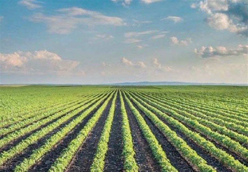 اجرای طرح کاداستر در یک میلیون و 220 هزار هکتار اراضی کردستان