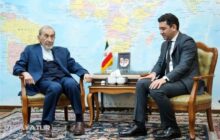 ولایتی در دیدار سفیر ارمنستان: پروژه ترامپ همان دالان زنگه زور با قالب آمریکایی است