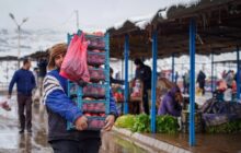 یلدا؛ قصه‌ی طولانی دلتنگی و امید در قلب زمستان