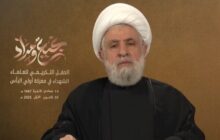 نعیم قاسم: همسویی با اسرائیل مانند سوراخ کردن کشتی و غرق شدن همه است