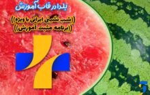 شب یلدا با طعم فرهنگ ایرانی در «مثبت آموزش»