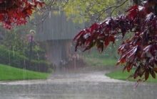 هواشناسی ایران امروز 1404/10/13