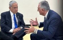 اوج وقاحت ربع پهلوی در واکنش به کشته سازی ها: این جنگ است و هر جنگی «تلفات» دارد!