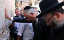 رسوایی شاهزاده فیک!