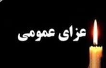 هیئت دولت 40 روز عزای عمومی و 7 روز تعطیلی اعلام کرد