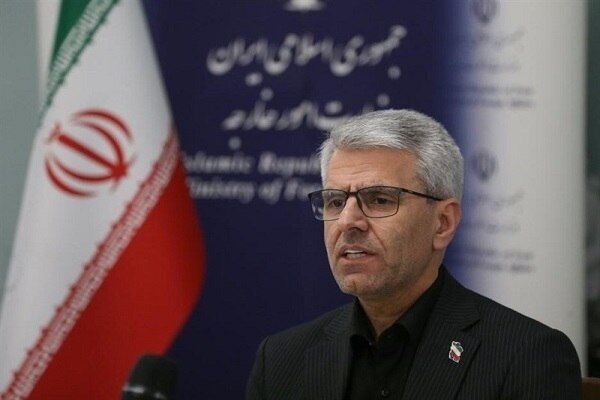 بقائی: آمریکا خود به شدت نیازمند خیرات برای حل مشکل گرسنگی است