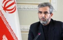 ببینید|باقری کنی: اجازه نمی‌دهیم هویت ملی خدشه‌دار شود