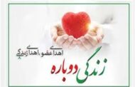 نوجوان اراکی در بهار 13 سالگی به چند بیمار زندگی دوباره بخشید