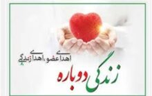 نوجوان اراکی در بهار 13 سالگی به چند بیمار زندگی دوباره بخشید