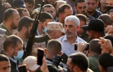 نگاهی به کارنامه «شکارچی جاسوسان»و«آقای دیوار»/فرماندهی از پشت میله‌ها