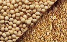 نخستین گواهی تولید محصولات صادراتی منطقه آزاد مازندران صادر شد