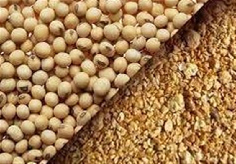 نخستین گواهی تولید محصولات صادراتی منطقه آزاد مازندران صادر شد