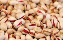 طلای سبز فارس در مسیر بازارهای جهانی/ 80 درصد پسته استان صادر می‌شود