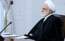 اژه‌ای: حمایت آمریکا از قانون و آزادی، طنز تلخ است