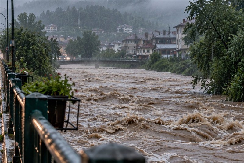 بیمه 17 محصول کشاورزی سمنان آغاز شد